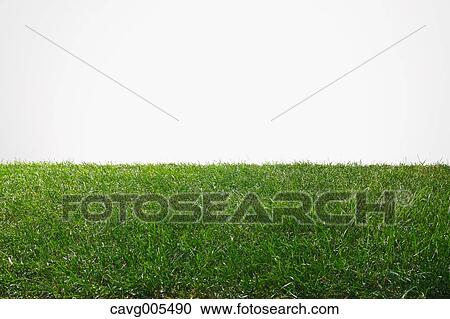 Grassland View Large Photo Image Stock Image - Grassland. Fotosearch