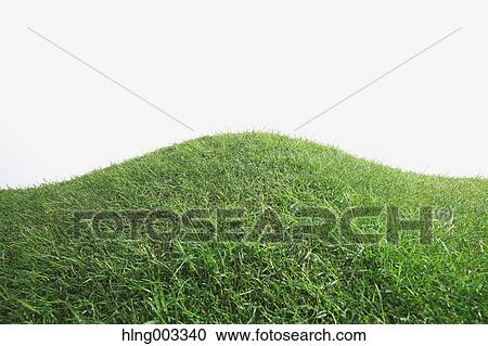 Grassland View Large Photo Image Stock Image - Grassland. Fotosearch