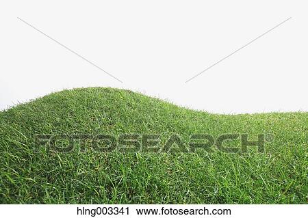 Grassland View Large Photo Image Stock Image - Grassland. Fotosearch