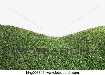 Grassland View Large Photo Image Stock Image - Grassland. Fotosearch