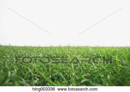Grassland View Large Photo Image Stock Photograph - Grassland. Fotosearch