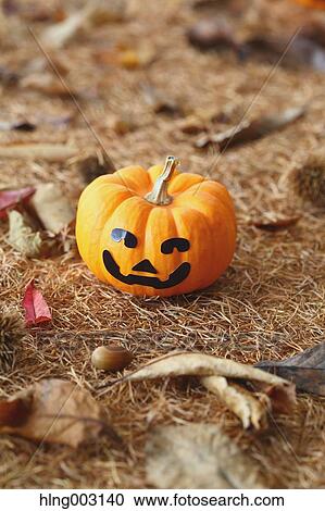Halloween pumpkin View Large Photo Image Stock Image - Halloween pumpkin. Fotosearch