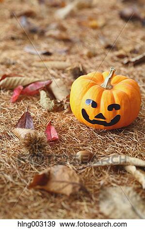 Halloween pumpkin View Large Photo Image Stock Photo - Halloween pumpkin. Fotosearch