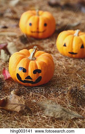 Halloween pumpkins View Large Photo Image Stock Image - Halloween pumpkins. Fotosearch