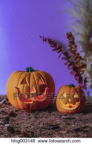 Halloween pumpkins View Large Photo Image Stock Photograph - Halloween pumpkins. Fotosearch