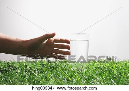 Hand picking glass of water on grass View Large Photo Image Stock Photo - Hand picking glass of water on grass. Fotosearch