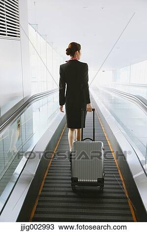 Japanese attractive flight attendant at the airport View Large Photo Image Stock Image - Japanese attractive flight attendant at the airport. Fotosearch