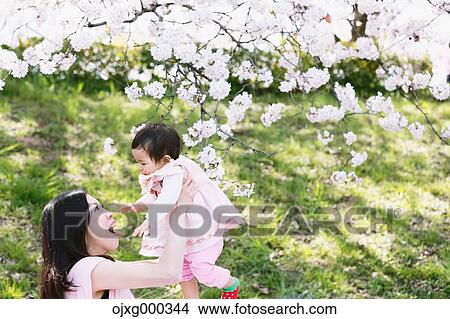 Picture - Japanese mom and daughter enjoying the cherry blossoms. Fotosearch