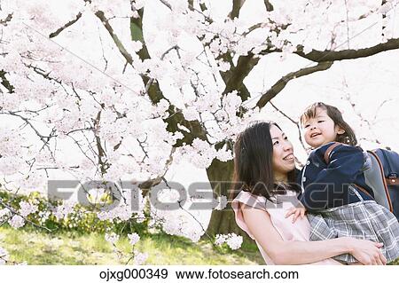 Japanese mom and daughter enjoying the cherry blossoms View Large Photo Image Stock Photo - Japanese mom and daughter enjoying the cherry blossoms. Fotosearch