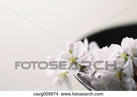 Picture - Japanese traditional pottery. Fotosearch