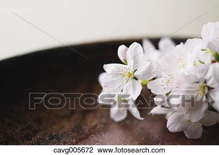 Japanese traditional pottery View Large Photo Image Stock Image - Japanese traditional pottery. Fotosearch