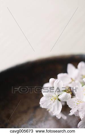 Japanese traditional pottery View Large Photo Image Stock Image - Japanese traditional pottery. Fotosearch