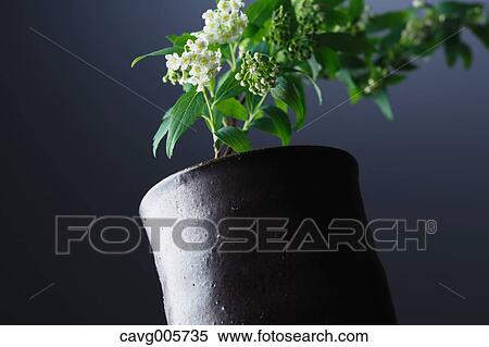 Japanese traditional pottery View Large Photo Image Stock Photography - Japanese traditional pottery. Fotosearch