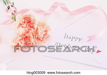 Mother's day gift View Large Photo Image Stock Photo - Mother's day gift. Fotosearch