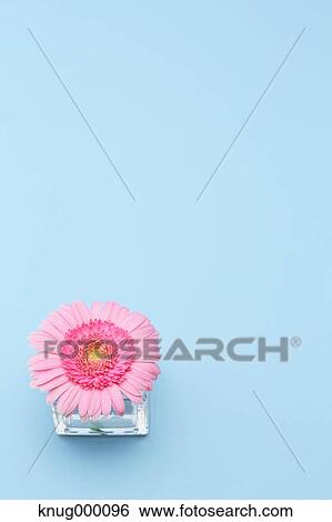 Mum View Large Photo Image Stock Photograph - Mum. Fotosearch