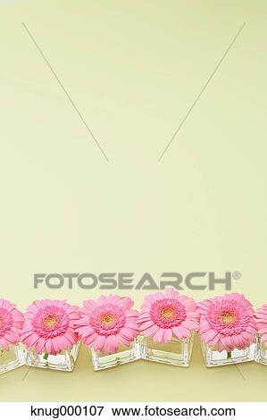 Mums View Large Photo Image Stock Photo - Mums. Fotosearch