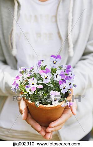 Stock Image - Potted flowers. Fotosearch