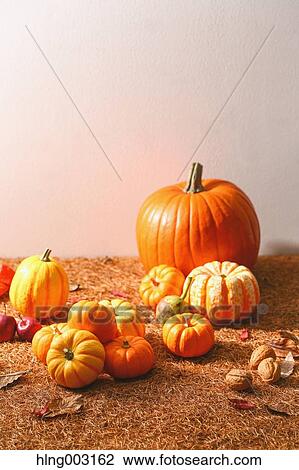 Pumpkins View Large Photo Image Stock Image - Pumpkins. Fotosearch
