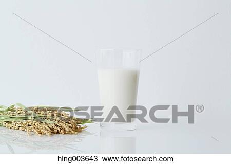 Rice and milk View Large Photo Image Stock Image - Rice and milk. Fotosearch