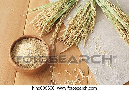 Rice and milk View Large Photo Image Stock Photograph - Rice and milk. Fotosearch
