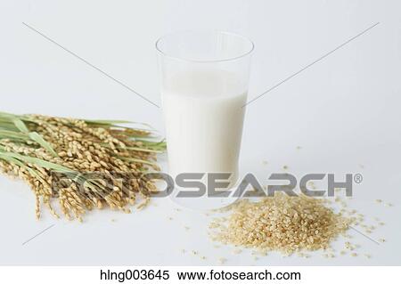Stock Photography - Rice and milk. Fotosearch
