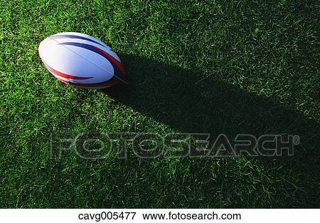 Rugby ball on grass View Large Photo Image Stock Photo - Rugby ball on grass. Fotosearch