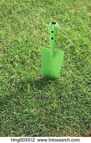Scoop on grass View Large Photo Image Stock Image - Scoop on grass. Fotosearch