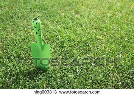 Scoop on grass View Large Photo Image Stock Image - Scoop on grass. Fotosearch