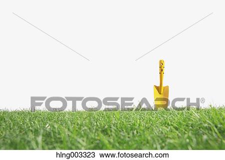 Stock Image - Scoop on grass. Fotosearch