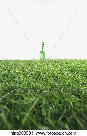 Scoop on grass View Large Photo Image Stock Image - Scoop on grass. Fotosearch