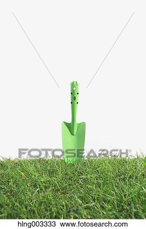 Scoop on grass View Large Photo Image Stock Image - Scoop on grass. Fotosearch