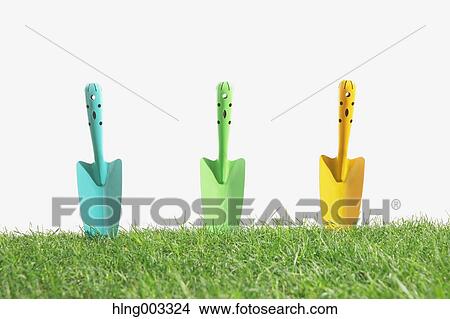 Scoops on grass View Large Photo Image Picture - Scoops on grass. Fotosearch