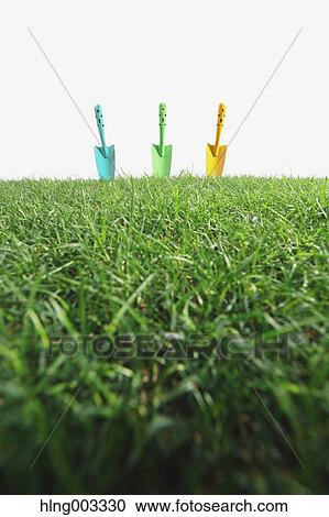 Scoops on grass View Large Photo Image Stock Image - Scoops on grass. Fotosearch