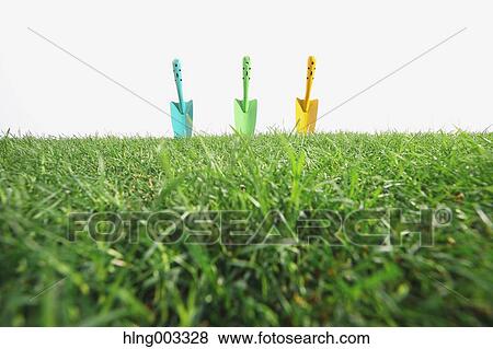 Scoops on grass View Large Photo Image Stock Photo - Scoops on grass. Fotosearch
