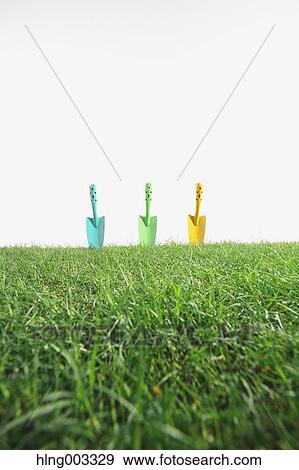 Scoops on grass View Large Photo Image Stock Photo - Scoops on grass. Fotosearch