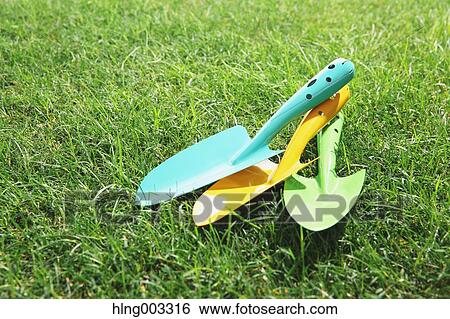 Scoops on grass View Large Photo Image Stock Photograph - Scoops on grass. Fotosearch