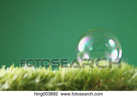 Soap bubble on grass View Large Photo Image Stock Image - Soap bubble on grass. Fotosearch