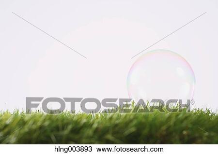 Soap bubble on grass View Large Photo Image Stock Image - Soap bubble on grass. Fotosearch