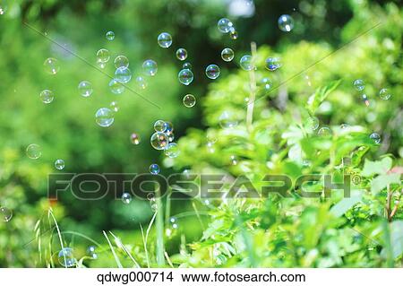 Soap bubbles and grass View Large Photo Image Picture - Soap bubbles and grass. Fotosearch