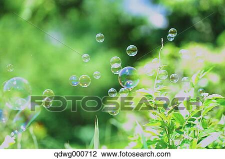 Soap bubbles and grass View Large Photo Image Stock Image - Soap bubbles and grass. Fotosearch