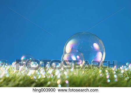 Soap bubbles on grass View Large Photo Image Stock Image - Soap bubbles on grass. Fotosearch
