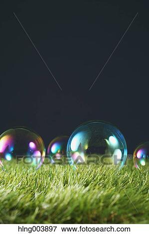 Soap bubbles on grass View Large Photo Image Stock Photo - Soap bubbles on grass. Fotosearch