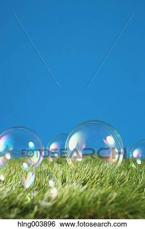 Soap bubbles on grass View Large Photo Image Stock Photograph - Soap bubbles on grass. Fotosearch
