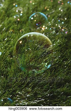 Soap bubbles on grass View Large Photo Image Stock Photograph - Soap bubbles on grass. Fotosearch