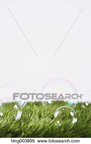 Soap bubbles on grass View Large Photo Image Stock Photography - Soap bubbles on grass. Fotosearch