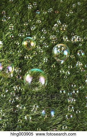Soap bubbles on grass View Large Photo Image Stock Photography - Soap bubbles on grass. Fotosearch