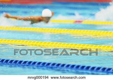 Swimmer in a swimming pool View Large Photo Image Picture - Swimmer in a swimming pool. Fotosearch