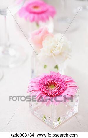 Table coordinate View Large Photo Image Picture - Table coordinate. Fotosearch