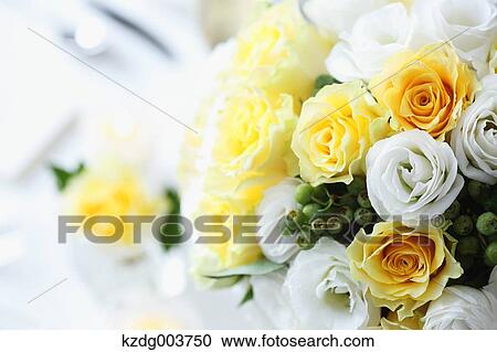 Stock Image - Table coordinate. Fotosearch