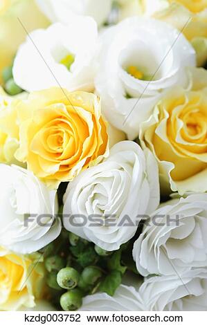 Stock Image - Table coordinate. Fotosearch